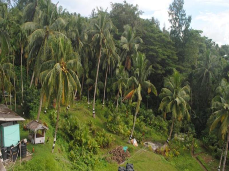 Andaman Galley Resort Port Blair Dış mekan fotoğraf